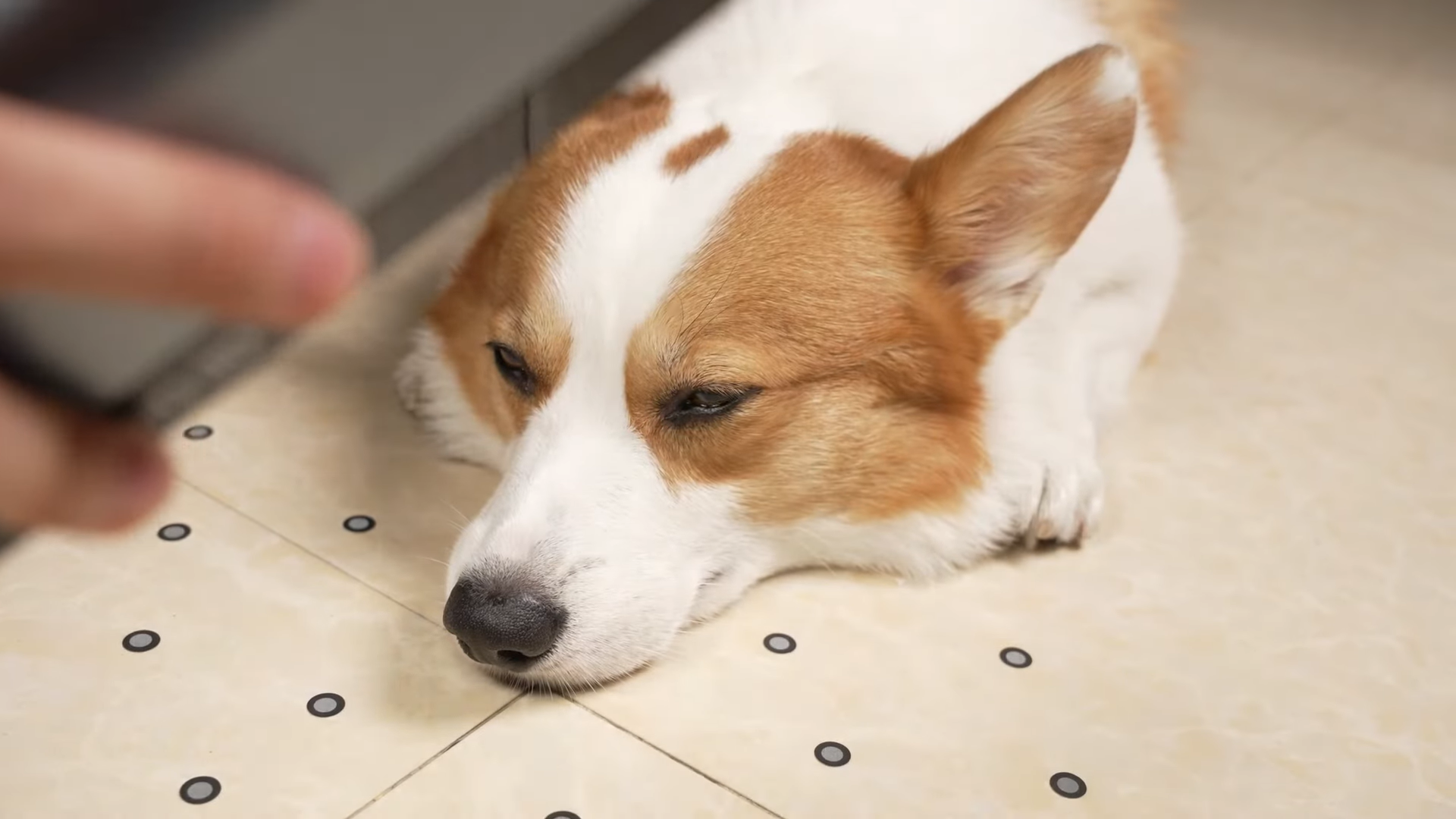 Realize the Possibility of 3D Scanner Tips for Beginners to Discover Life and Creations